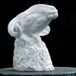 Aries pasa de mí ¿Qué hago si no me hace caso?